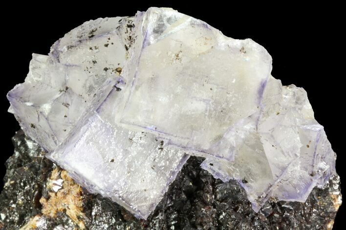Cubic Fluorite Crystals on Sphalerite - Elmwood Mine #71939